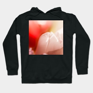 Tulips Hoodie